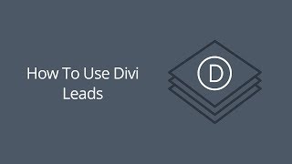 How to Use Divi Leads