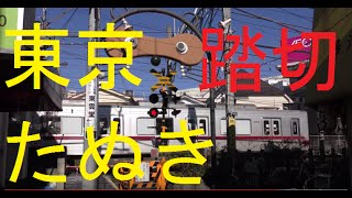 【踏切】東京たぬき踏切　東武東上線　下赤塚～東武練馬