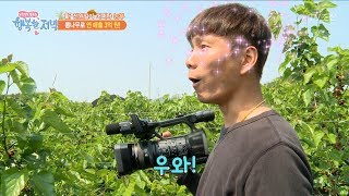 뽕나무로 연매출이 3억원이나 된다?! [행복한 저녁] 33회 20170601