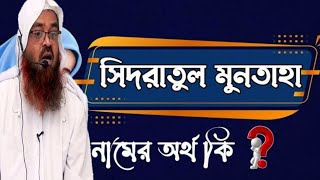 সিদরাতুল মুনতাহা নামের অর্থ কি ।। আবু বকর মুহাম্মাদ যাকারিয়া