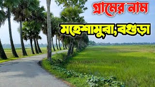 মাটির দোতলা প্রাসাদ আর অপরুপ সুন্দর  বগুড়ার মহেশামুরা। Bogra, a two-storied earthen palace.