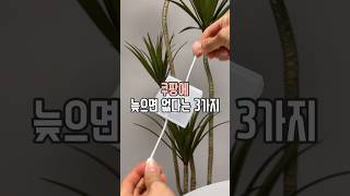 쿠팡 늦으면 없다는 3가지 #살림남