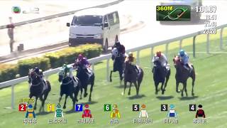 星球馬易配雷神騎輕鬆贏！巴基之星 (莫雷拉) 沙田馬場 A+3 新馬錦標 1400米