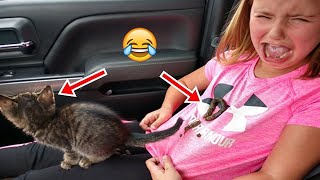 You will laugh within 13 sec with these funny pets
