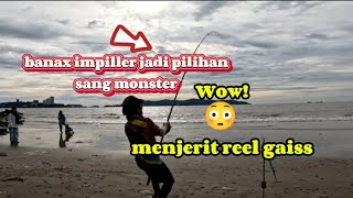 #surfcasting port tanjung lipat ada tarikan #mega #gorgon #monster ganas #paridaun 20kg