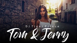 Tom And Jerry (Remix) Ft - Satbir Aujla | Ankita | DJ Tiger Prince