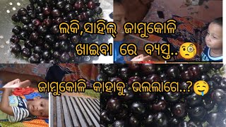 ଲକି, ସାହିଲ୍ ଜାମୁକୋଳି ଖାଇବା ରେ ବ୍ୟସ୍ତ..🧐//ଜାମୁକୋଳି ଖାଇବାକୁ କାହାକୁ ଭଲଲାଗେ comment କରିବେ//