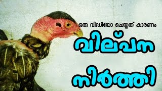 ഞാൻ ആ കോഴിയുടെ വിൽപ്പന നിർത്തി | I Stopped Selling that Chicken | Kozhi Valarthal | Aviyal Media Das