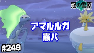 【ダブルバトル】アマルルガ霰パ　#249【ポケモン剣盾】