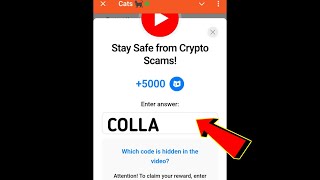 Stay Safe from Crypto Scams! Cats Code | Stay Safe from Crypto Scams cats video code today