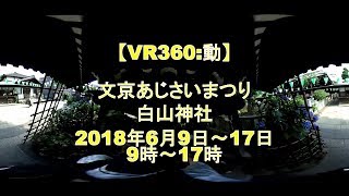 【VR360:動】白山神社　文京あじさいまつり　2018年6月9日～17日