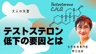 テストステロン低下の要因とは「大人の女塾」