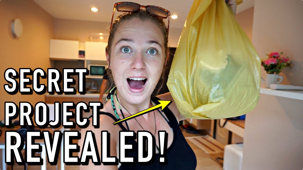 Secret Project Revealed Youtube