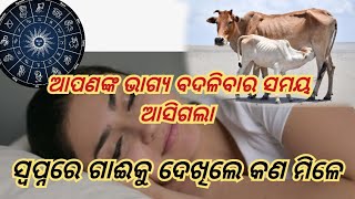 ସ୍ୱପ୍ନରେ ଗାଈ ଦେଖିଲେ ଜୀବନରେ କଣ ସବୁ ଘଟିଥାଏ ? Gai ku Swopna re Dekhile kana sabu mile #horoscope #fact