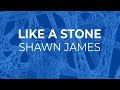 shawn james -  like a stone (audioslave cover) lyrics