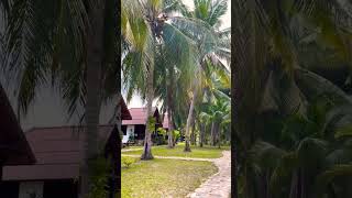 Resort best resort in ---, budget friendly stay, places to visit #budgetvlogger  #Maldives Vibes in-