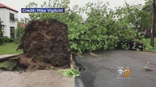 Storms Leaves Trees Scattered In Queens