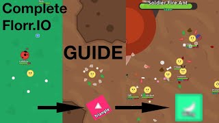 [2026] The Complete Beginner-Friendly* Florr.io Guide, how to get your first SUPER