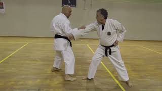 Karate Wado Paci Gallo Sensei Zansho Ippon Kumite N° 2