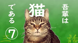 【朗読】吾輩は猫である(7)／夏目漱石