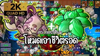 พืชปะทะซอมบี้ : โหมดเอาชีวิตรอด PVZ Fusion2.1.6 ซุปเปอร์กระเทียม+ร่มเขียวสิ5555555555