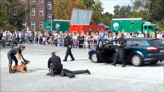 Einsatzvorführung: Spektakulärer Zugriff der Polizei