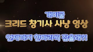 라그나로크x 창기사 개미굴 사냥 영상