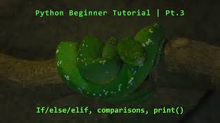 Python Beginner Tutorial Pt.3 | If/else, conditionals