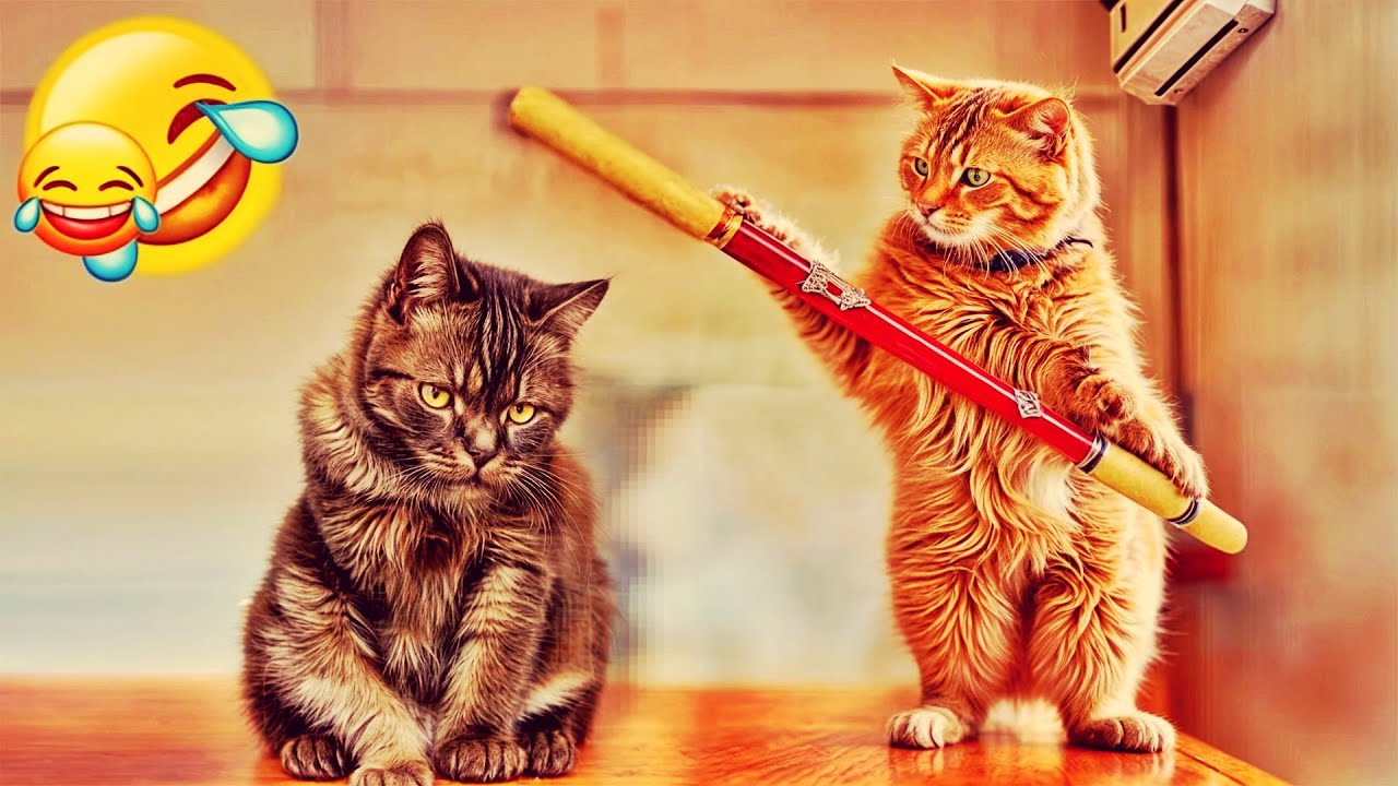 ёэршёэриёэро ёэрлёэръёэроёэраёэрб ёэршёэриёэро ёэрлёэриёэрмёэрю ёяш ёяр ёэреёэроёэрзёэрзёэрвёэрюёэрм