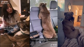 Dogs can talk, dogs can understand. Who knew !?