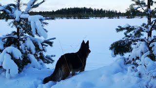 Латвия. Невероятно красивый зимний день