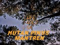 HUTAN PINUS MANTREN | CINEMATIC VIDIO | BY KARANGTENGAH CREATOR