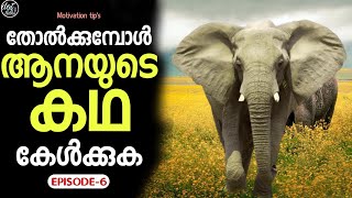 ആനയുടെ കഥ ജീവിതം  മാറ്റി മറിക്കും | Motivation tip's | Episode - 6 | Malayalam | Dot talks