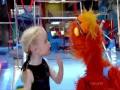 Sesame Street - Murray Has a Little Lamb: Gymnastics School