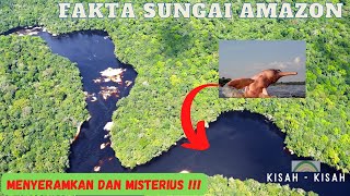Banyak Hal Menyeramkan Di Dalamnya !!! 5 Fakta Menarik Sungai Amazon Sungai Terpanjang Di Dunia