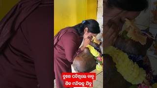 ବୃଷଭ କାନରେ ମନ କଥା ତୋର ଖୋଲି କହିବୁ #shortvideo #viralvideo #mahadev