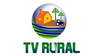 TV Rural 02/02/2025