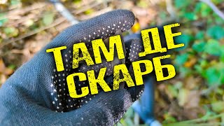 КОП ДЕ ЗНАЙШОВ СКАРБ. Є ЗНАХІДКИ!