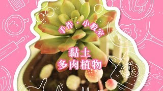 終身學習中心│救國團手作小教室#14【黏土多肉植物】