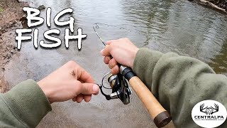 Big Rainbow Caught | PA Trout Fishing 2022