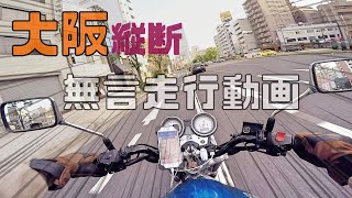 【VTR250】無言走行動画【モトブログ】