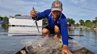 chài trúng tôm càng xanh cá cóc  cá tra cá mè dinh mọi người ơi chài cá theo làng bè sông hậu