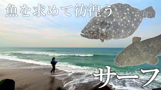 【サーフ釣り】投げて・移動し・情報を集め、ヒラメ・マゴチを探す！【魚を求めて浜辺を彷徨う】〜絶望編〜