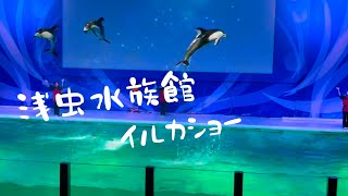 イルカショー (浅虫水族館)　Asamushi Aquarium　Dolphin #浅虫温泉 #青森県