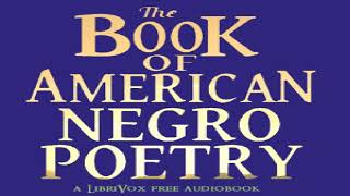 Book of American Negro Poetry | James Weldon Johnson | Anthologies | Speaking Book | English | 1/3