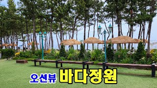 바다정원 오션 뷰 대형 카페 포토존 멋져 강원도 속초 고성 여행시  추천합니다