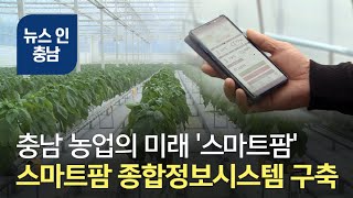 [오늘의 이슈] 충남 스마트팜 종합정보 시스템 구축