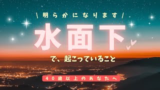 【40歳以上のあなたへ】水面下で起こっていること🐠明らかになります✨ネコ乱入🐾