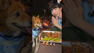 福とタケが食べるの見ててpart86 #asmr #eatingasmr #mukbang #dog #わんことキャンプ