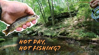 Blue Lining for Brook Trout on the Hottest Day of the Summer